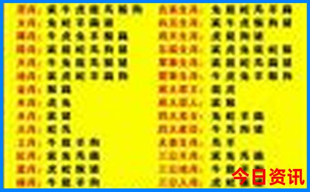 深圳旅游团报名一日游